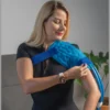 Knee Ice Machine Post-Surgery Cold Therapy FeelGoodEase Knee Ice Machine | Cold Therapy for Pain Relief