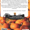Halloween word search kids and teen Halloween Word Search: Spooky Brain Games & Large Print Puzzles for All Ages